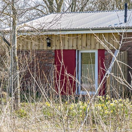 Apartament Deichgraf 1 Friedrichskoog Zewnętrze zdjęcie