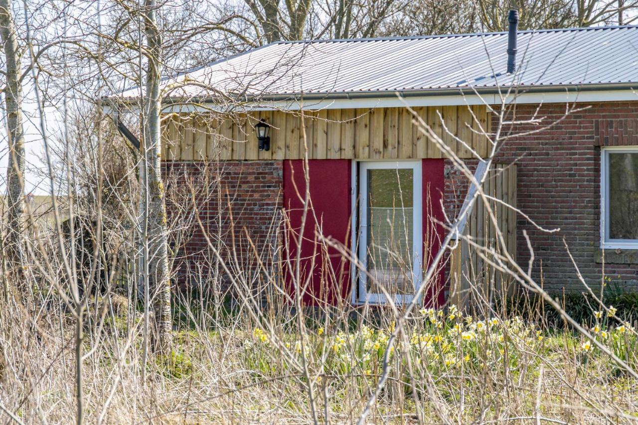 Apartament Deichgraf 1 Friedrichskoog Zewnętrze zdjęcie