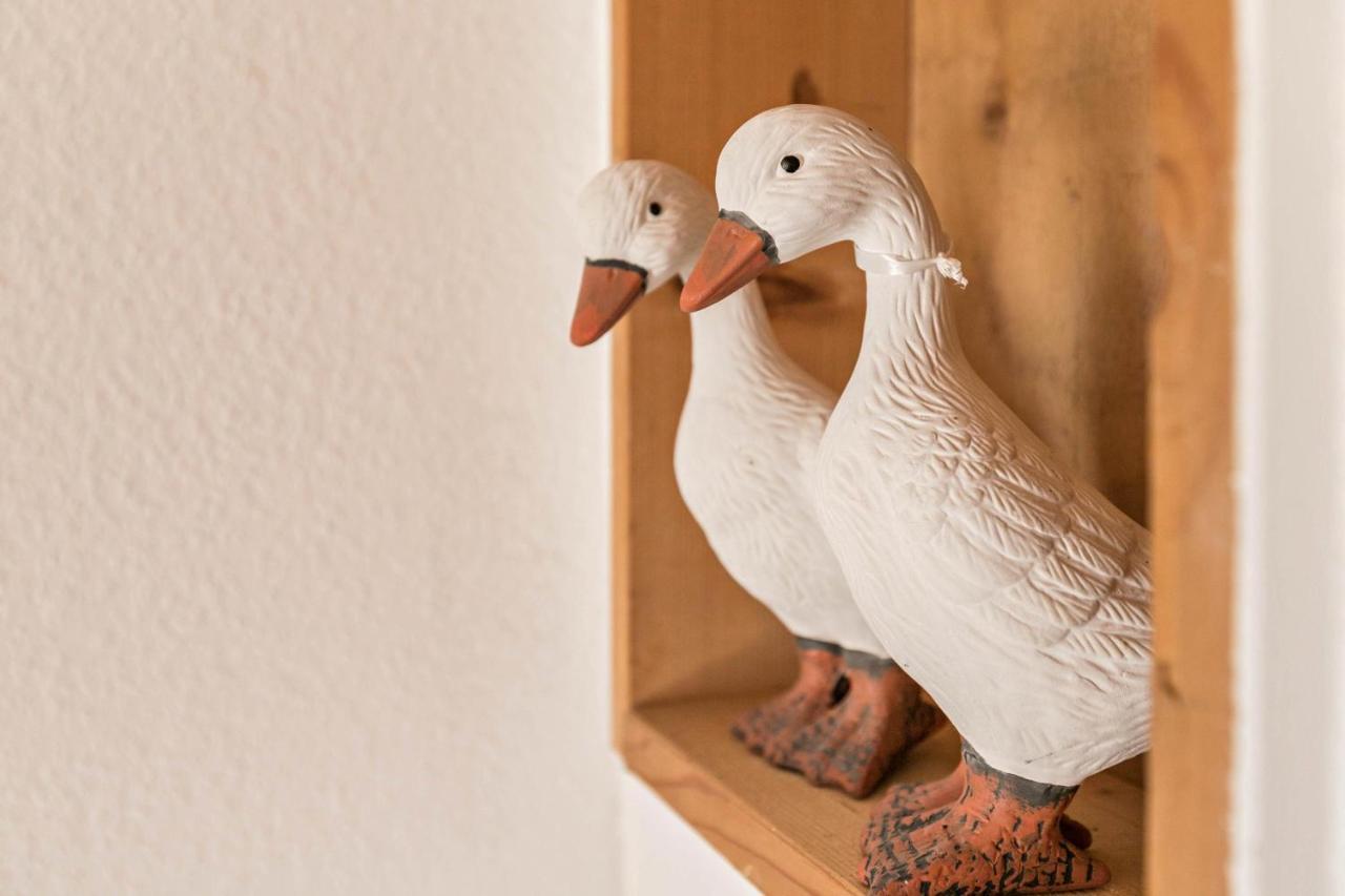 Apartament Deichgraf 1 Friedrichskoog Zewnętrze zdjęcie