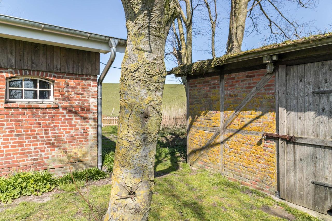 Apartament Deichgraf 1 Friedrichskoog Zewnętrze zdjęcie